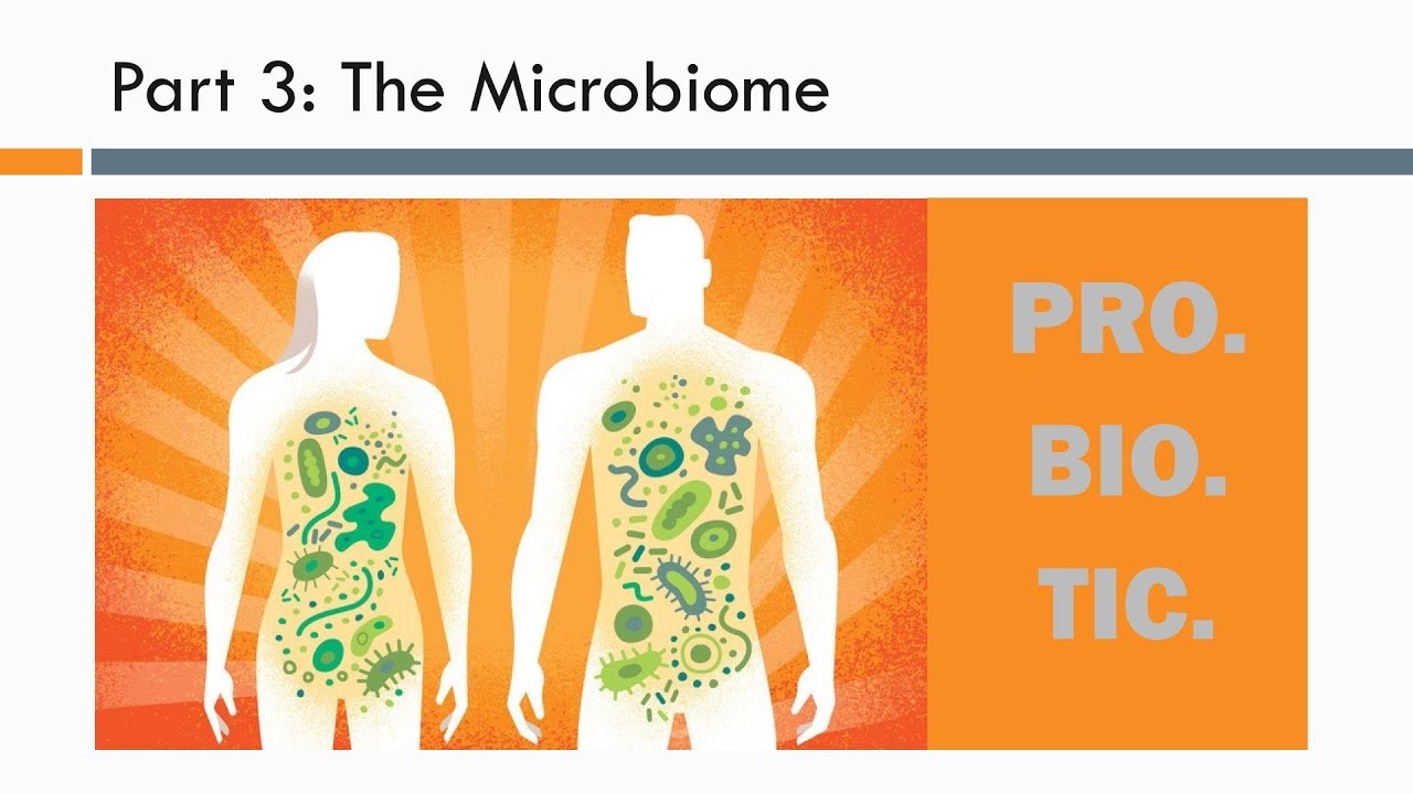 Functional Weight Loss Pt. 3:  Using the Microbiome