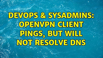 DevOps & SysAdmins: OpenVPN client pings, but will not resolve DNS