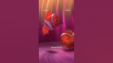 Channeling Nemo