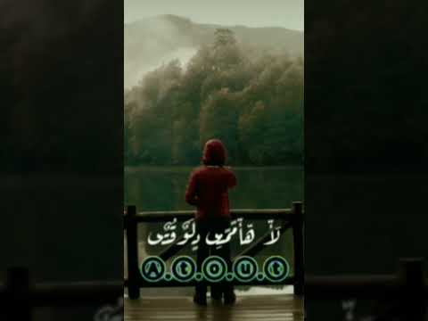 مسلم العمر مايكفيش