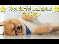 Super Soothing Relaxing Sleep Music For Pomeranian Puppies ♫ Calm Relax Your Dog ♥ Lullaby For Pets