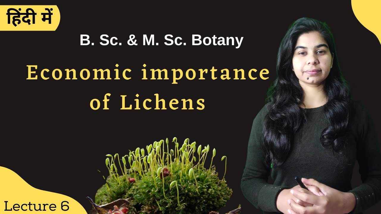 Lichens || Economic importance of Lichens || in Hindi || Botany || B. Sc. & M. Sc.