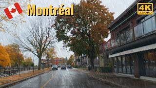 [4K] Peaceful Riverside Drive in the Autumn Rain🌧️ | Soft Rain, Gentle Drive🚗 #montreal #rain screenshot 5
