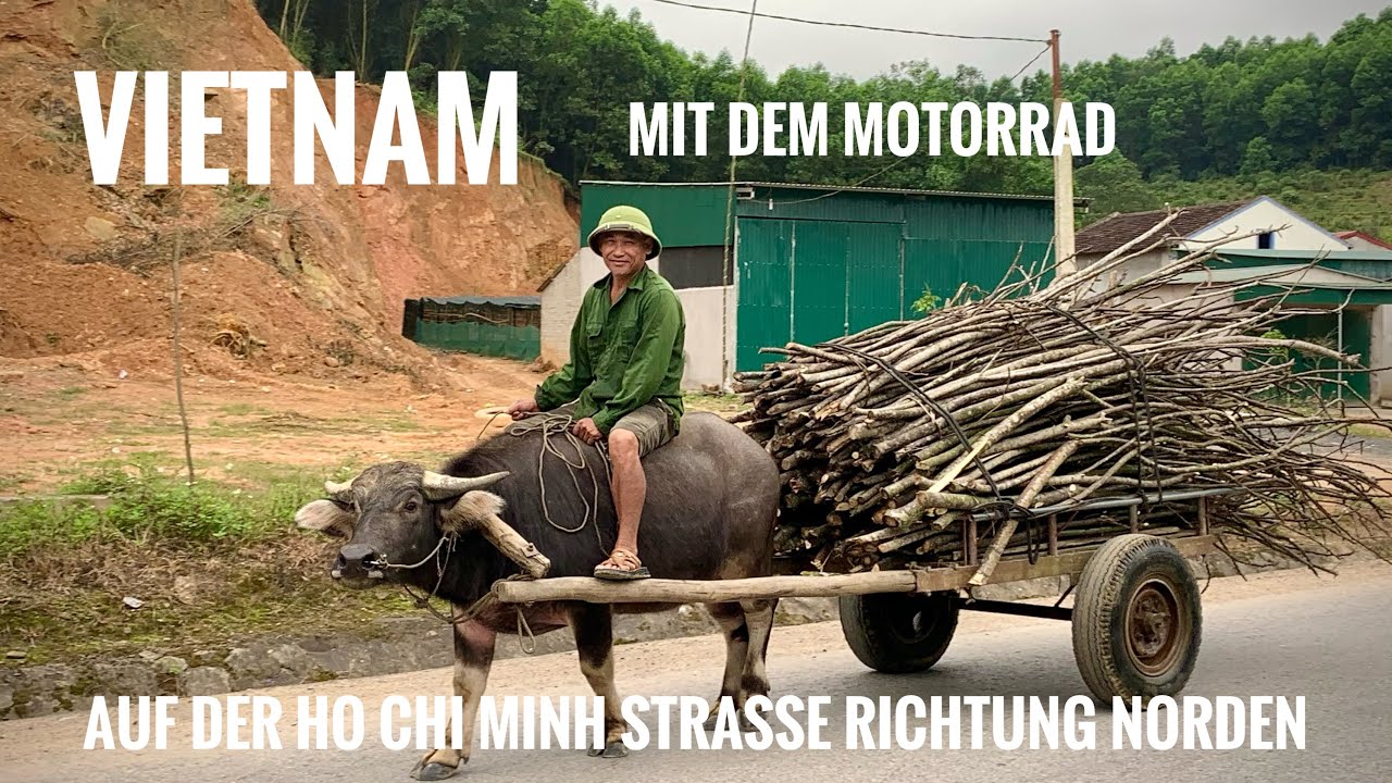 Vietnam Motorradreise: Teeplantagen, Ho Chi Minh Straße und ein Homestay direkt am Fluss in Tam Coc