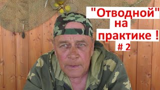 "ОТВОДНОЙ"! Часть 2. Ловля на рачка и ларву !