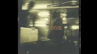 Steve Wynn - The Suitcase Sessions Venus