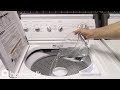 How To Clean Your Washer Dryer | Hometalk