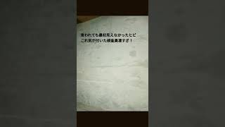 基礎に割れ