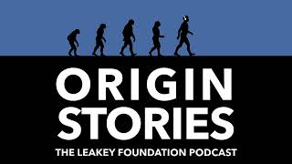Origin Stories Podcast: Top Human Origins Discoveries of 2021 by The Leakey Foundation 27,996 views 2 years ago 31 minutes