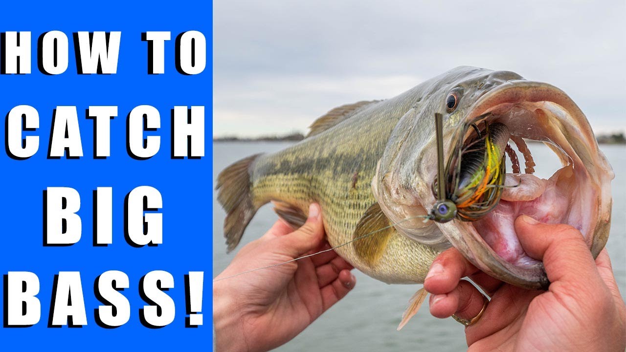 My BEST Day Bass Fishing EVER!! – Washington State Giants