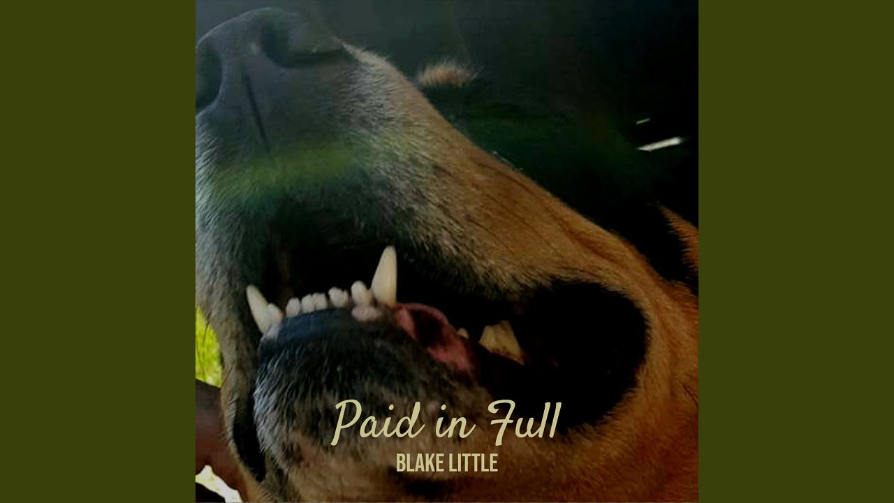 YouTubeでPaid in Fullを視聴 YouTubeでPaid in Fullを視聴