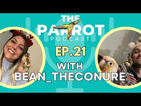 Nutriberries, Dancing Pineapple Conure, Misinformation, Bird Dad Insights!🦜 | The Parrot Podcast #21