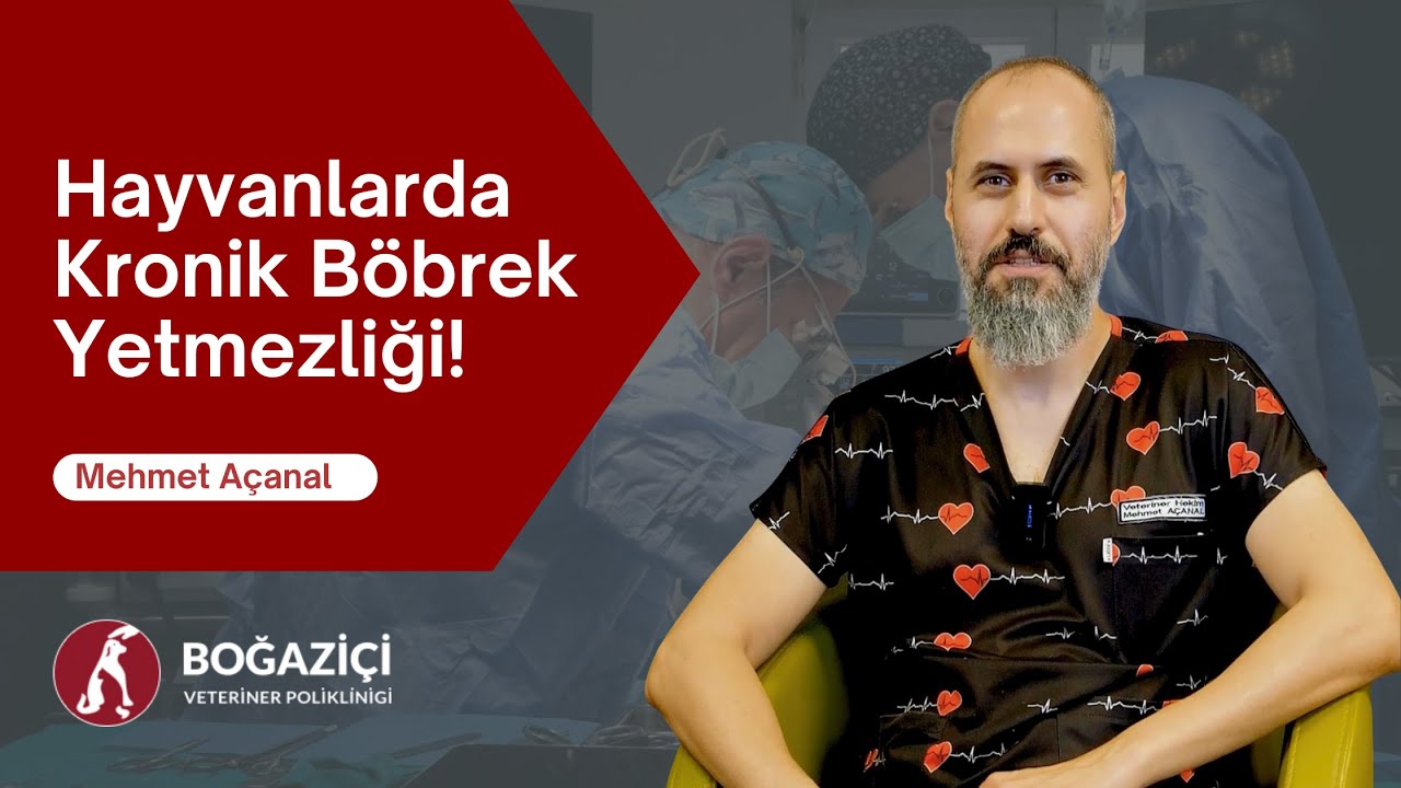 Hayvanlarda Kronik Böbrek Yetmezliği!