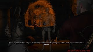 The Witcher 3 (85) DLC 