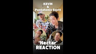 Kevin&Pentatonix Scott 'Nectar’ Reaction