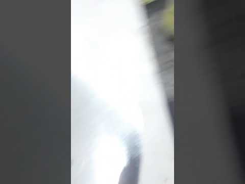نبذه عن الحروف الزنكور جزء من حالاتي على واتساب وسناب شات