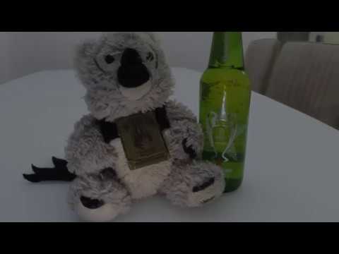 עושה רק מה אוהב גרסת גיבי לנד Offical Video 