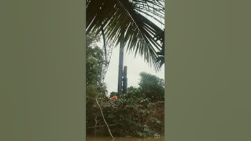 đóng cọc bê tông bằng búa diesel