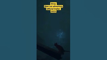 official trailer  Stray | New cat adventure game
