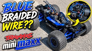 Everyone Is Asking About These Blue Wires... Traxxas Mini Maxx
