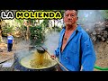 LAS MOLIENDAS EN EL SALVADOR! TRADICIONES QUE MUEREN POCO A POCO! ASÍ ES EL AMBIENTE EN LA MOLIENDA