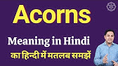 Acquaintance Meaning In Hindi Acquaintance Ka Kya Matlab Hota Hai Spoken English Classes Youtube Acquaintance Meaning In Hindi Acquaintance Ka Kya Matlab Hota Hai Spoken English Classes Youtube