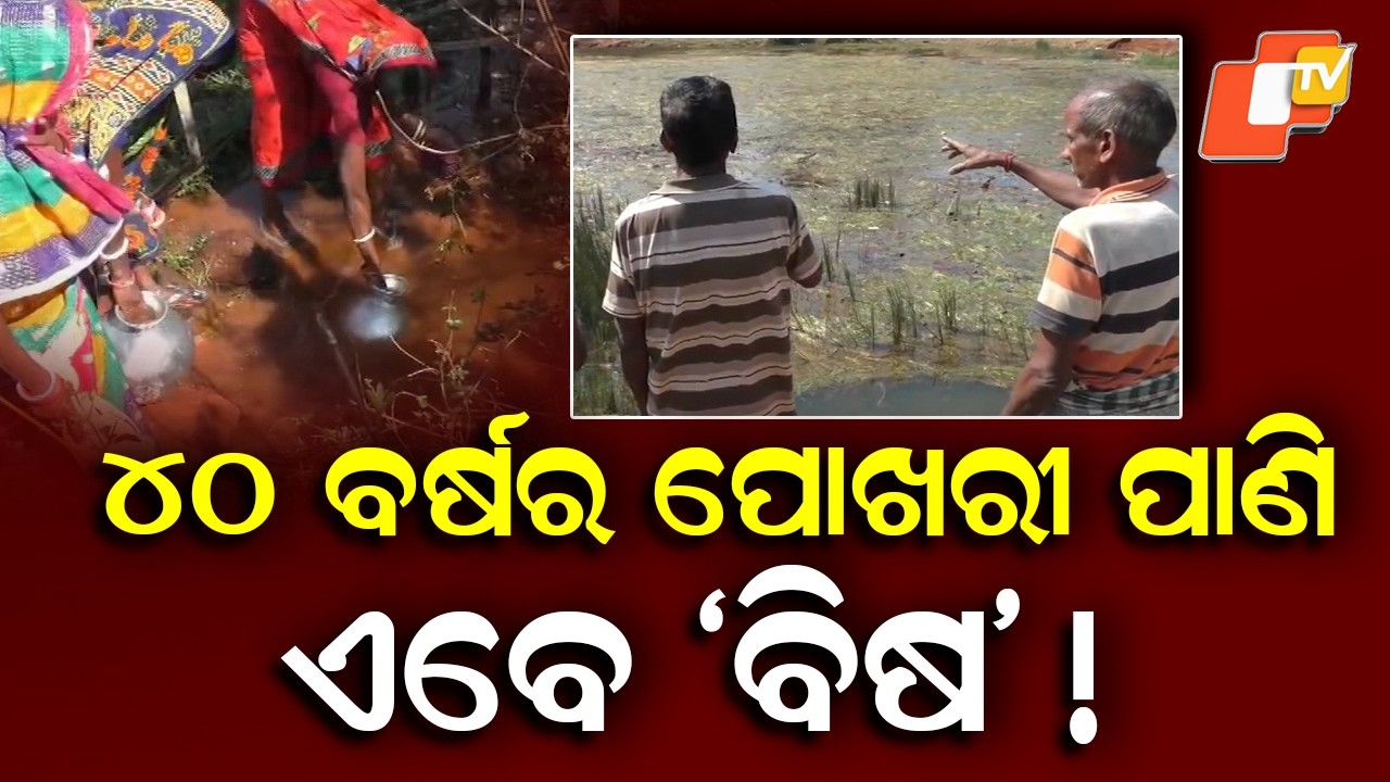 150 Families Struggle for Safe Drinking Water in Sundargarh Village, Pond Water Turns Toxic