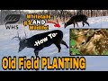 Best (and Worst) Old Field Planting For Whitetails & Wildlife