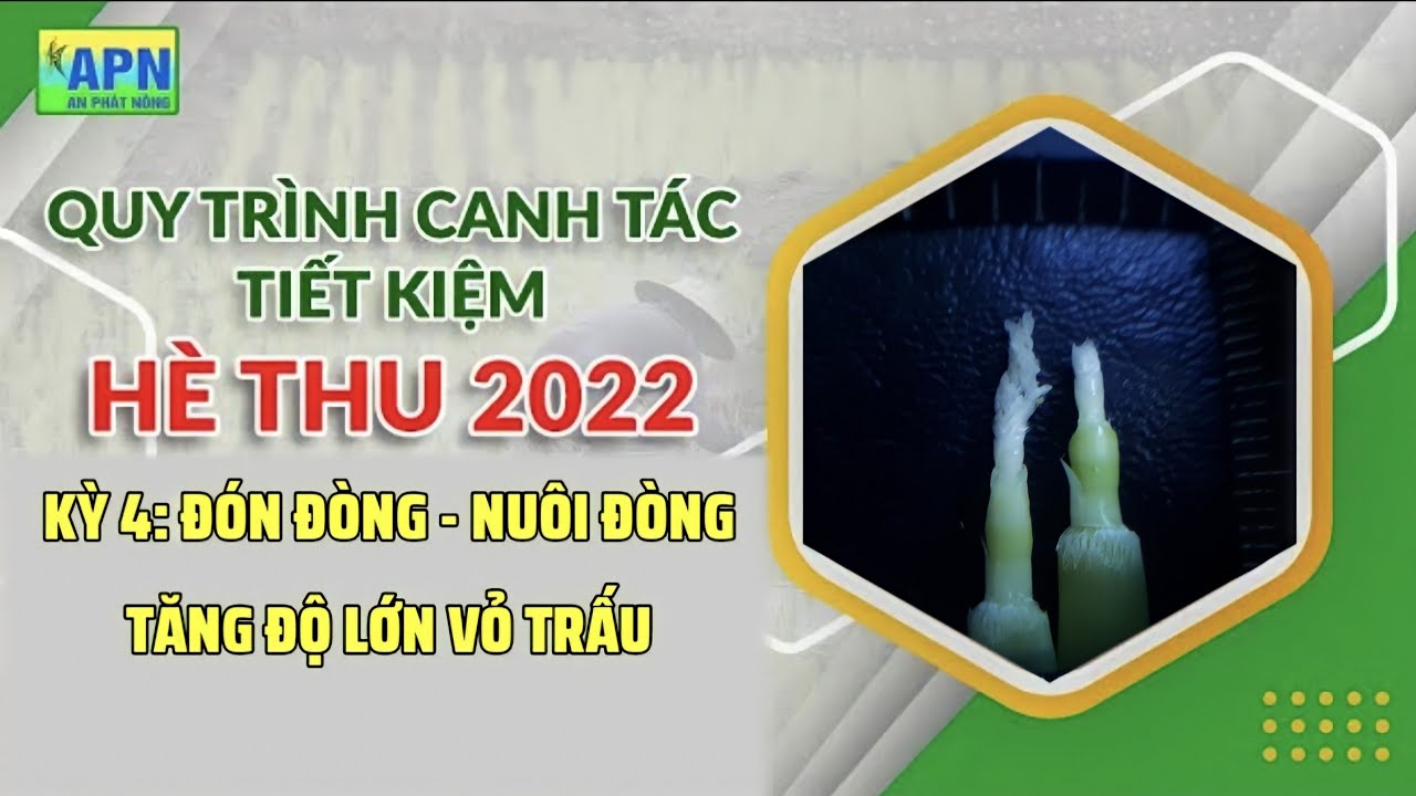 APN - HÈ THU 2022 |KỲ 4| ĐÓN ĐÒNG, NUÔI ĐÒNG - VŨ KỸ SƯ