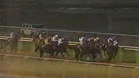 1996 Dubai World Cup (Jim McGrath commentary)