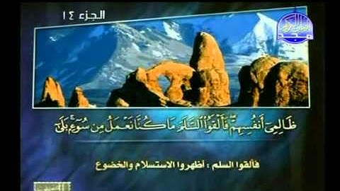 سورة النحل :: الشيخ ماهر شخاشيرو :: تلاوات مختارة