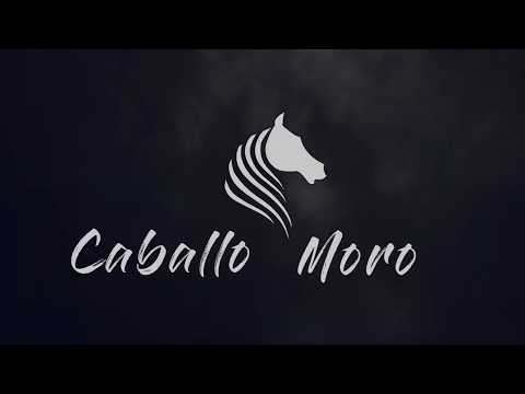 Caballo Moro (Arabian