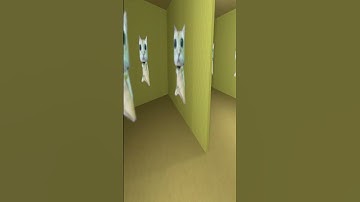 Dancing El Gato 😸🥰 Nextbot Gmod #garrysmod #shorts