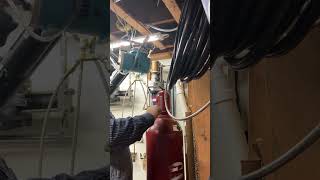 IMG 3673