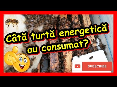 CE CONSUM DE