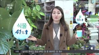전주MBC 2016년 1월 13일 뉴스투데이