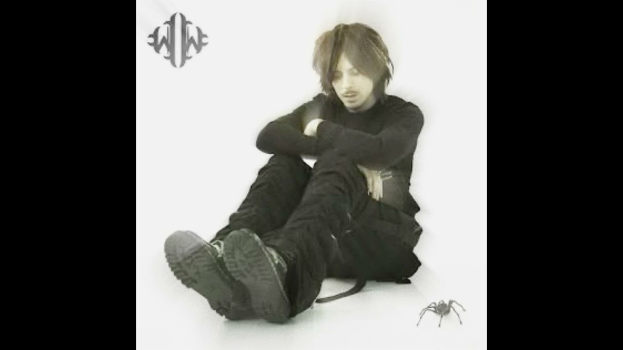 [free for profit] gunnr fakemink type beat (sukyhira)