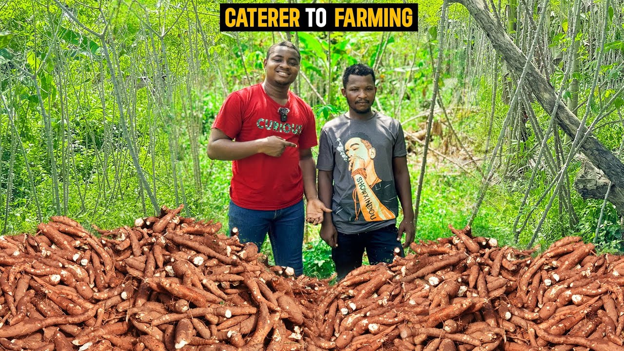 Как он зарабатывает 126 000 ганских шиллингов (10 439,94 долларов США) в год на своей 7-акровой ф...