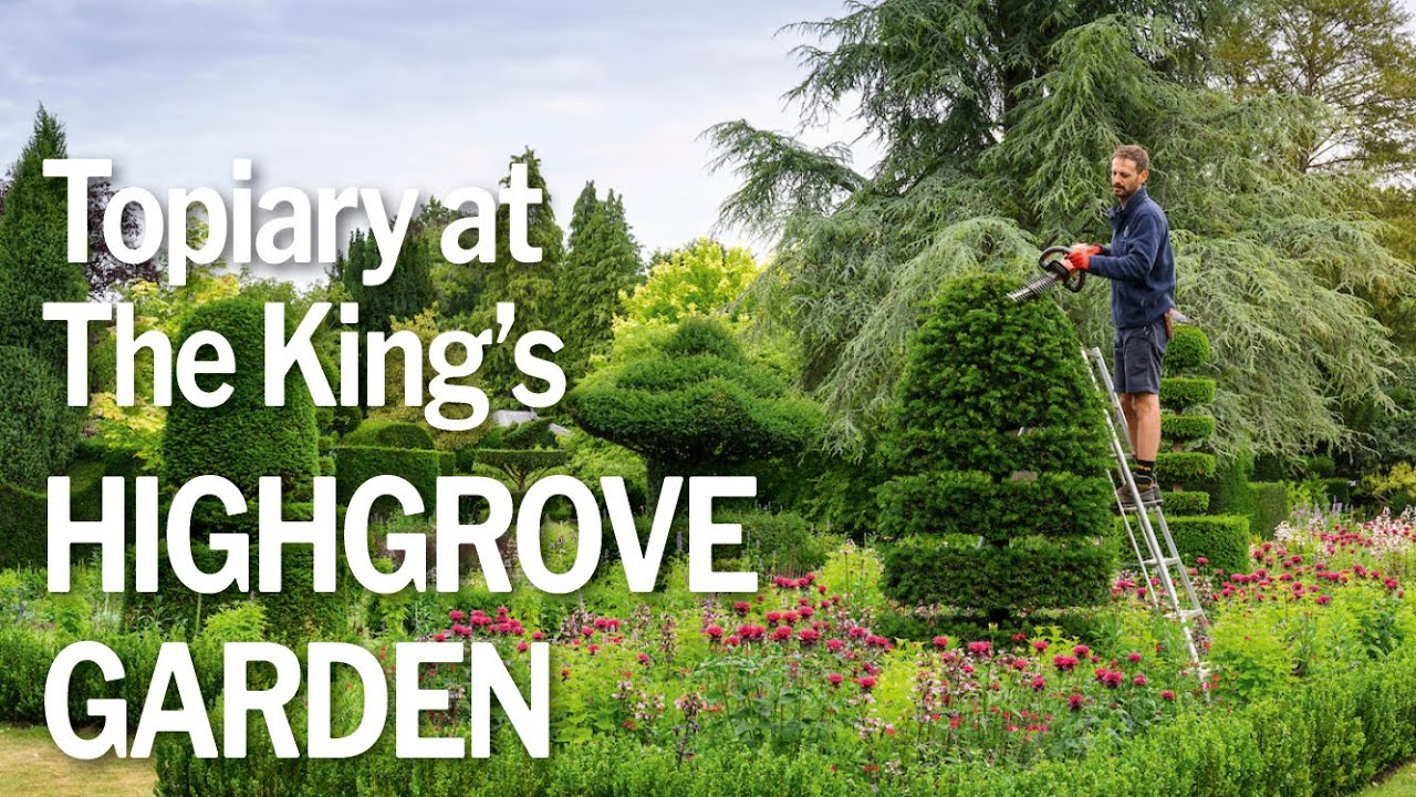 Лучшие советы по созданию фигурных кустарников от Хайгроува | Сад Ее Величества Короля