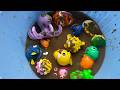 MARINE ANINMAL TOYS FOR KIDS| LEARN OCEAN ANIMAL NAMES AND FACTS| EDUCATIONAL VIDEOS FOR KIDS