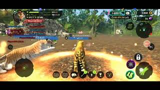 tiger play with full deff, attack speed and movement speed also skill level 12, normal server