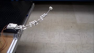 Design, Analysis and Integration of a New Two-DOF Articulated Multi-link Robotic Tail Mechanism