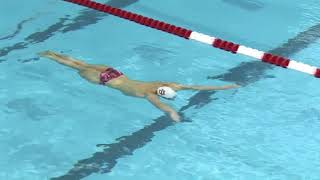 Breaststroke Overview from Indiana's Ray Looze!