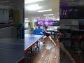 탁구레슨중