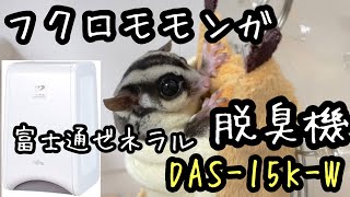 【フクロモモンガ】フクモモ飼育必須アイテム！？小型脱臭機「DAS-15K-W」【014】