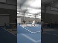 two hander BERT!? 😮💥 #pickleball #pickleballhighlights #tennisplayer