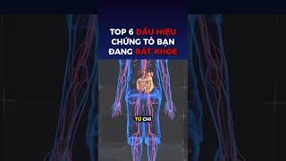 Top 6 dấu hiệu chứng tỏ bạn đang rất khỏe #topyte