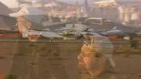 SpaceShipOne Tribute