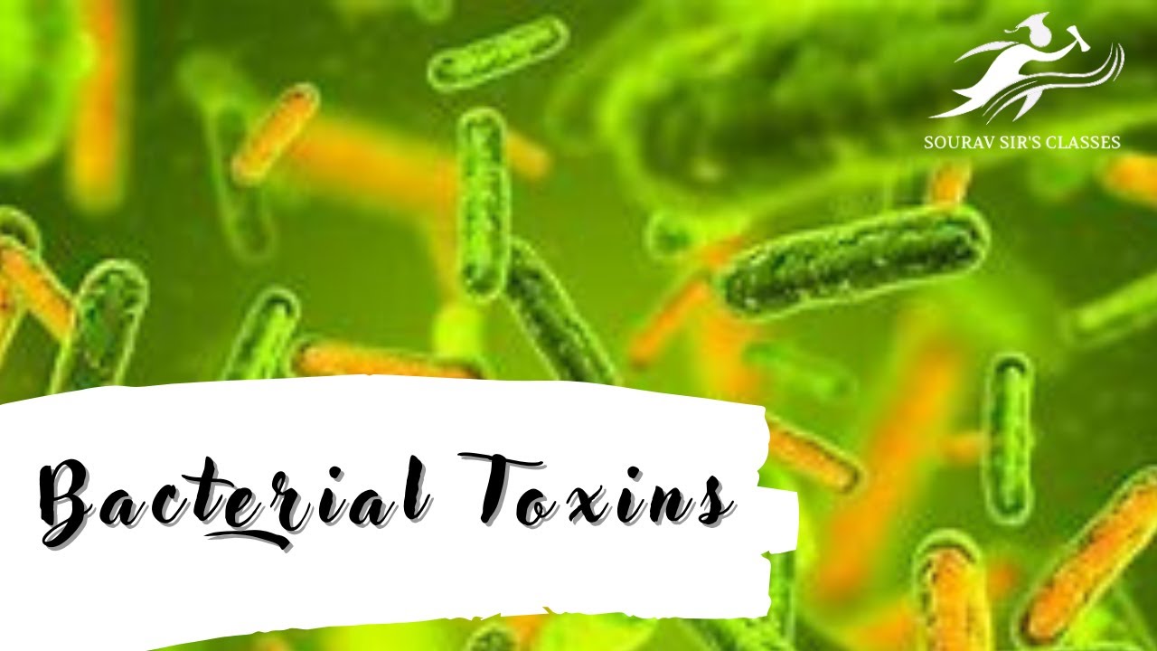 Bacterial Toxins Endotoxin and Exotoxins Mechanism of Action of