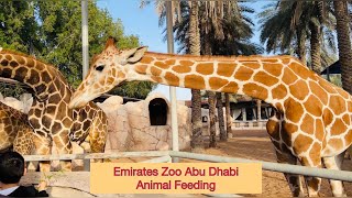 Emirates Park Zoo And Resort New Shahama Abu Dhabi UAE| Animal Feeding | Let’s Go To The Zoo